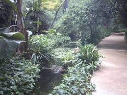 La Concepcion Jardin Botanico Historico De Malaga Jardin Botanico Botanica Costa