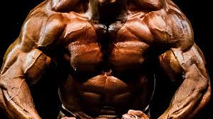 They are the pectoralis major, pectoralis minor, and the serratus the serratus anterior is located more laterally in the chest wall and forms the medial border of the axilla region. Building A Bodybuilder Chest T Nation