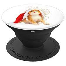 Cute Cat Santa Hat Kitten Snow Flower Gift For Christmas Https Www Amazon Com Dp B081ffck4h Ref Cm Sw R Pi Dp U X Qej5db5x8 Cat Santa Hat Cute Cat Kitten
