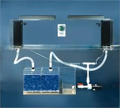 It was something new, something cool. Clear For Life Deluxe 150 Gallon 72 Lx24 Wx20 H Rectangular Acrylic Aquarium 150 R Fish Tanks Direct