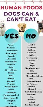 Foods Your Dog Should Never Eat Dogs Can And Cant Eat Foods Dogs Can Eat Foods Dogs Can And Cant Eat
