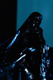 Bildergebnis für Joshua Serafin