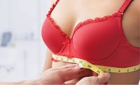 Bra Size Calculator In Cm Bra Size Calculator Bra Size Charts Bralette Chain