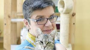 Niederösterreich: aktuelle Nachrichten