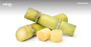 Berikut adalah beberapa manfaat kesehatan air tebu untuk ibu hamil, seperti dilansir oleh boldsky (13/12). 12 Manfaat Sari Tebu Yang Baik Untuk Kesehatan Dan Kecantikan