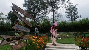 Taman bunga bpi atau yang biasa disebut dengan taman bunga kampung jambu di pandeglang mendadak mulai ngehits beberapa hari terakhir. Wonoland Taman Bunga Cantik Dari Wonosobo