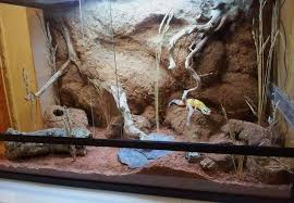 Bearded dragon diy reptile enclosure. 30 Diy Bearded Dragon Terrarium Ideas That Are Absolutely Stunning Exopetguides