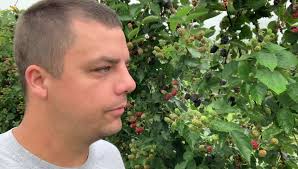 🌟U-PICK BLACKBERRIES🌟, The rain has...