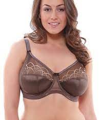 8 Elomi Ideas Elomi Full Figured Women Elomi Bras