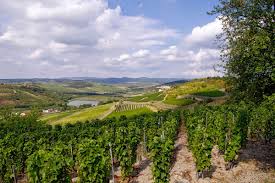 Nyirmeggyesi ut 4700 mateszalka, mátészalka węgry. Wyprawa Rowerowa Wegierski Tokaj 2021 80 Rowerow