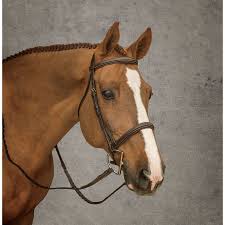 Dover Saddlery Hunter Bridle