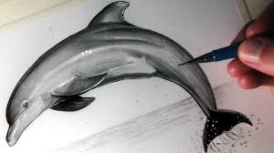 Pin By Cherie Nicholas On Pintura Dolphin Drawing Animal Drawings Dolphin Painting