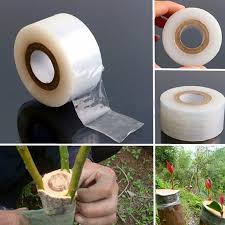 Must add both items to cart to receive discount. 10pcs Nursery Grafting Tape Stretchable Self Adhesive For Garden Tree Seedling Grafting Tape Clear 0 8 X 2 4 Walmart Canada