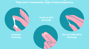 Can Vaginal Discharge Help You Detect Early Pregnancy?