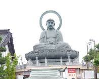 高岡大佛公園賞櫻