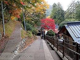 We did not find results for: 10 Tempat Terbaik Untuk Melihat Daun Musim Gugur Di Tokyo 2021