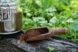 But in addition to providing nitrogen, coffee grounds add incredible organic material and matter to the soil. Are Coffee Grounds Good For Plants