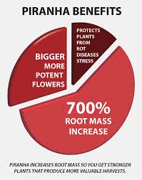 Piranha Beneficial Fungi Advanced Nutrients
