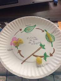 Pin En My Classroom Projects