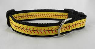 Pin On Our Dog Collars