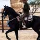 Empire Ranch Cowboy Festival