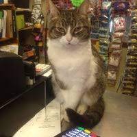 Shop hundreds of your favourite pet brands! Natural Pet Foods Ottawa Pet Store In Westboro