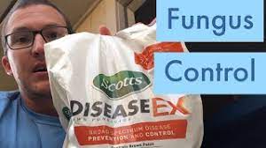 This product does not have. Scott S Disease Ex Azoxystrobin Youtube