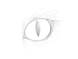 Submit your clip, if chosen, get paid! How To Draw Animal Eyes With Pen And Ink