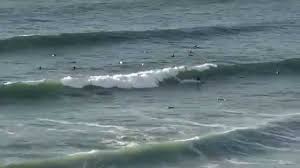 Best surf spots in cornwall. Surfing Fistral Beach Newquay Cornwall 8th October 2015 Youtube