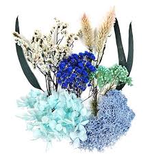Dried garden flowers lend themselves readily to a variety of crafts. Real Natural Dried Flowers For Art Craft Mixed Multiple Colorful Dried Flowers For Soap Candle Scrapbooking Diy Resin Blue Dried Flowers Pricepulse