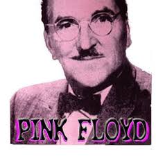 Pink Shirt Floyd Andy Griffith