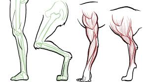 Drawing legs body drawing drawing poses gesture drawing drawing muscles drawing body proportions how to draw muscles male drawing welcome back to instagram. Back Muscles Drawing Reference Anime Novocom Top