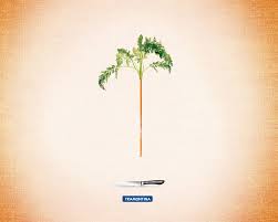 Les Pubs Print 1 Jour 1 Pub Pub Santiago Meilleures Publicites
