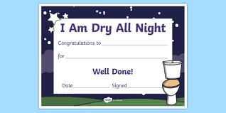 I Am Dry All Night Potty And Toilet Training Certificate