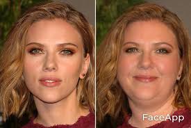 Fat Face Filter Tiktok