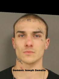 Domenic Joseph Damelio, AKA: Savage was sentenced Monday to life without  parole Domenic Joseph Damelio, AKA: Savage, was sentenced to life without  parole Monday for the kidnapping and murder of Burchard Murrice "