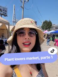 Respuesta a @deldesiertoflorjardinera Reubicando mis cactus y suculent...