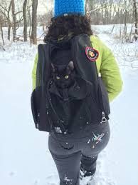 Best cat backpack carrier reviews. What Backpacks Are Best For Cats Adventure Cats