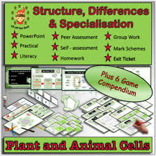 Maybe you would like to learn more about one of these? Animal Cell Structure Worksheets Teaching Resources Tpt