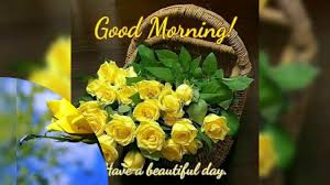 Good Morning Images Yellow Rose Good Morning Images Youtube Good morning have a lovely day sweetheart yellow sunflowers photos. good morning images yellow rose good
