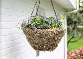 Order by 2.30 for same day flower delivery in the rockingham baldivis area. Diy Hanging Basket Plant For Shade Wow Worthy Combination