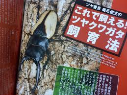 Check spelling or type a new query. èŠå…ƒä¿Šæ–‡ Jp 2013 10æœˆ