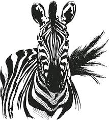 Step 2 connect the head, snout and body with straight lines. Zebra Clipart Clipart World