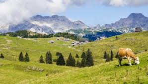Switzerland's administrative capital is bern, while lausanne serves as its judicial center. Kak U Nih Pochemu Shvejcariya Otkazalas Menyat Prodovolstvennuyu Politiku