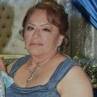Elsa Ramirez Toledo Obituary (2024)