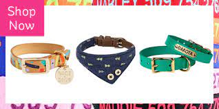 It allows you to attach a leash for walks. 20 Cool Dog Collars Best Useful And Stylish Dog Collars