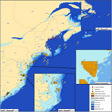 Oceanic records of North American bats and implications for offshore wind  energy development in the United States - Solick - 2021 - Ecology and  Evolution - Wiley Online Library