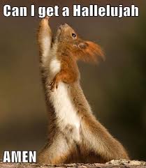 Can I Get A Hallelujah Amen Funny Animals Animals Dancing Animals