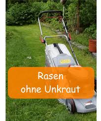 Rasen Ohne Unkraut Gartenbob De Der Garten Ratgeber Unkraut Im Rasen Unkraut Rasen