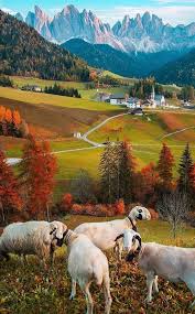 Art Of Nature Source Art Of Nature Beautiful Nature Pictures Beautiful Places Nature Nature Pictures